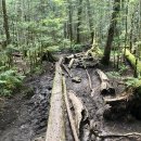 고도경로당 이미지