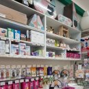 진영냥이 이미지