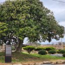 상방리 마을회관 이미지