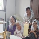 2026년 7월 병자방문미사(안화리공소)가 있었습니다. 이미지