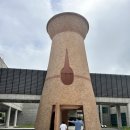 판교 통일신라~고려고분군 | 함안 말이산고분군 가족여행 초등 역사여행 가족여행 아이와 가볼만한곳 추천 함안까페 카페1946 후기