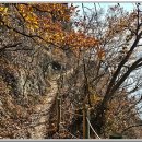 남지버스터미널 이미지