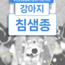 인제메디컬센터 이미지