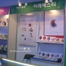 이레에스티
