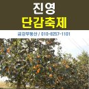 진영단감갈비