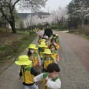 (주)숲 이미지