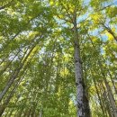 아화1리 이미지