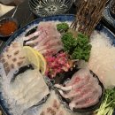 낭만물고기 이미지