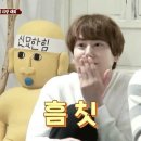 베티헤어 이미지