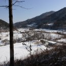 지교대호 이미지