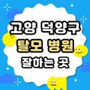 5075 | 고양 덕양구 탈모 전문 병원 두피 탈모관리 잘하는 곳 추천 List