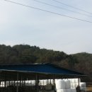 용암면 문명리 이미지