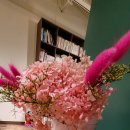 브라운핸즈 이미지