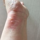 시우마켓 이미지