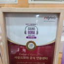 독일시그니아보청기 이미지