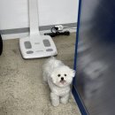 정복세천 이미지