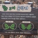 맥우농장 이미지
