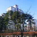 원마을현대공인중개사사무소 네이버블로그