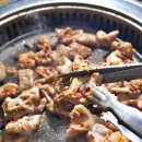 곱창 Daum카페