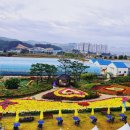 내추럴휴