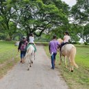 GS연수행복점 | 필리핀 클락 가족연수 후기(엄마,9살,6살)-주말에는 뭐하지?주말 활동편