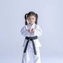 특사태권도