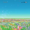 파랑약국 이미지