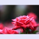 곡성-048 티스토리