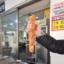 꽈배기맛집 이미지