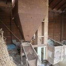 창원 다호리고분군 이미지