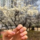 돌미상업로 | 대구 옥포네일 루미네일 | 리클라이너 시술 네일샵에서 받은 자석네일 후기