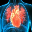 밝은e치과의원 이미지