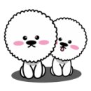 개 이쁜 애견미용샵 네이버블로그