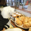 카페빠네띠에