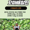 강남농원 - 예산군 윤봉길로 1879-14 | 강남농원