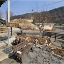 별빛여행 민박 네이버블로그