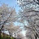 노동3리 이미지