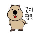 정은환경 이미지