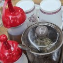 정드림흑염소 | 대구 칠곡 염소탕 맛집 정드림 흑염소 팔거역점