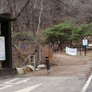 스테이포레스트 이미지