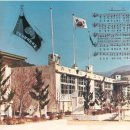 신녕서부초등학교 이미지