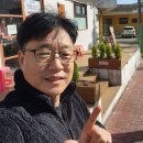 대원아파트 | 청주줄눈 청주분평대원아파트 주방타일 줄눈 퍼플렉스시공 후기