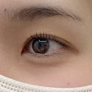 브로우데이