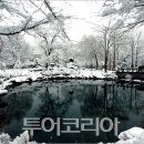 태백로-1 이미지