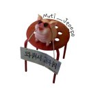 모티 전포점 | [전포 맛집] 부산 서면 고기집 ʚ모티 전포점ɞ &#34;2인 모티 세트 (오겹살 + 목살 450g 껍데기)&#34; 솔직 후기 ♡