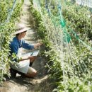 선호축산 이미지