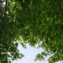 광주공원노인복지관 이미지