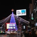 태화강디자인광고 네이버블로그