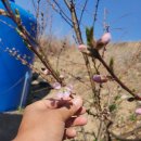 화수 농장 이미지