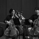 2024 여수에코국제음악제 이미지